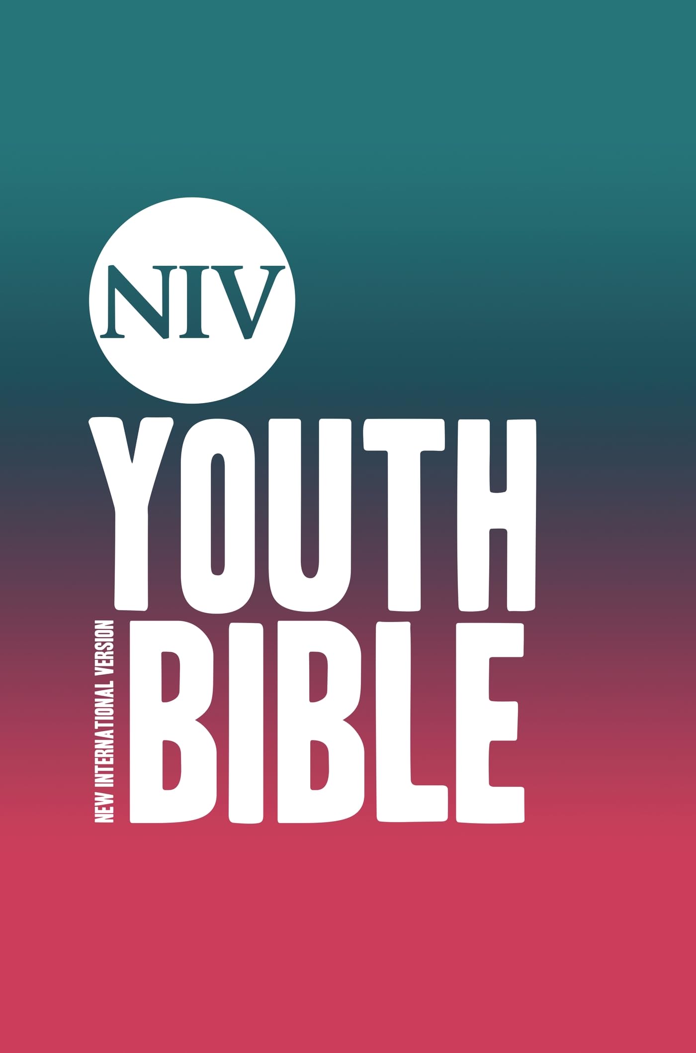 NIV Soul Survivor Youth Bible