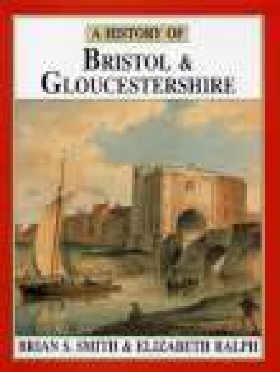 A History of Bristol & Gloucestershire (Darwen County History Series),Used