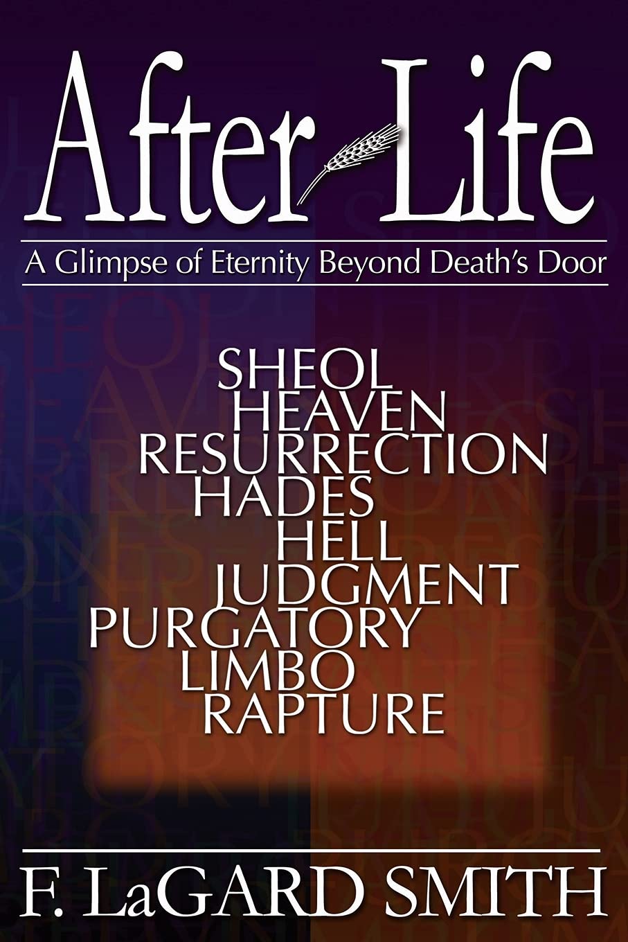 After Life: A Glimpse of Eternity Beyond Death's Door,Used