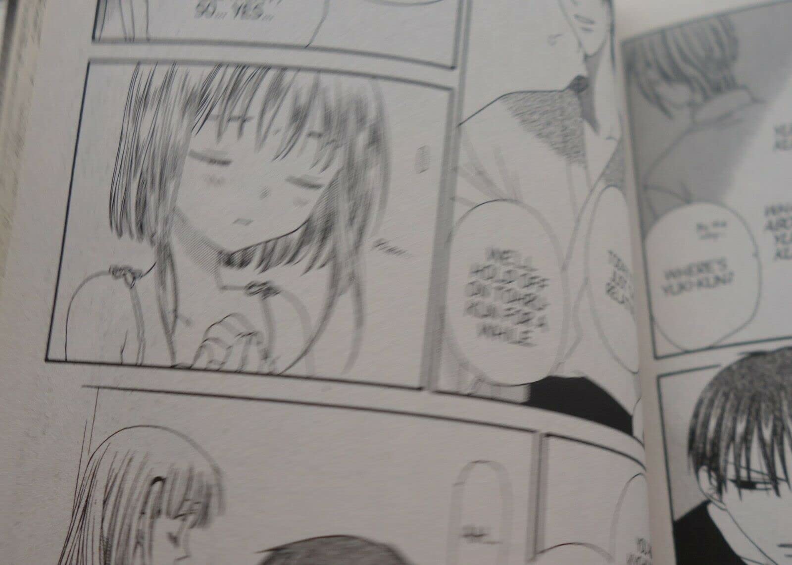 Fruits Basket, Vol. 10,Used