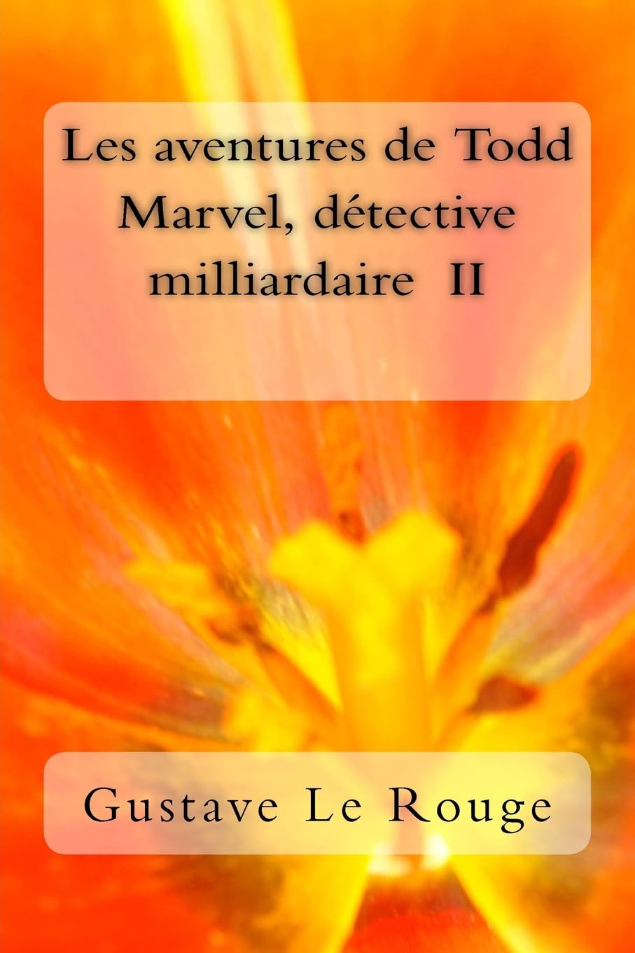 Les aventures de Todd Marvel, detective milliardaire II (French Edition),Used