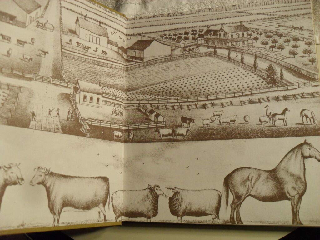 The Barn: A Vanishing Landmark in North America,Used