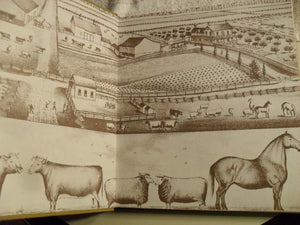 The Barn: A Vanishing Landmark in North America,Used