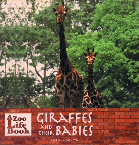 Giraffes and Their Babies (Zoo Life Book),Used