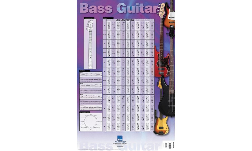Bass Guitar Poster: 23 inch. x 35 inch. Poster,Used