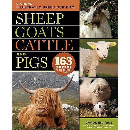 Storeys Illustrated Guide To Sheep Goatsand Cattle