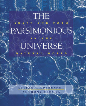 The Parsimonious Universe: Shape And Form In The Natural World