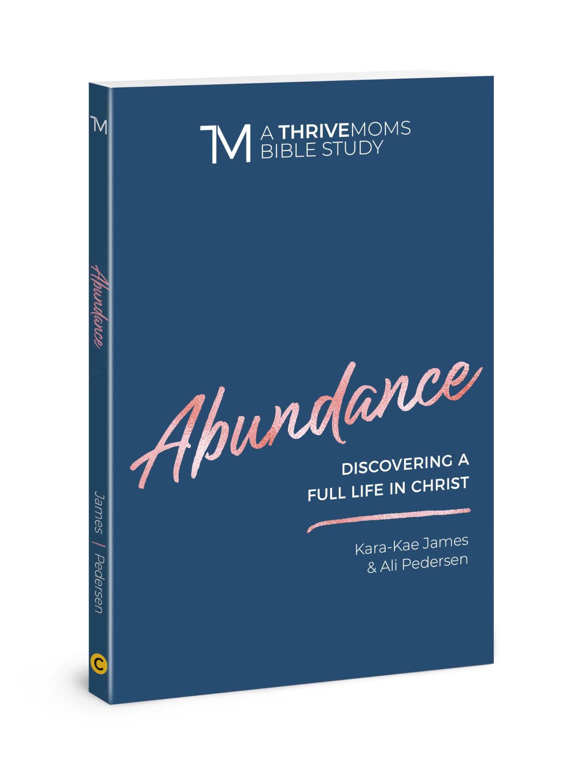 Abundance: Discovering a Full Life in Christ (A Thrive Moms Bible Study),Used