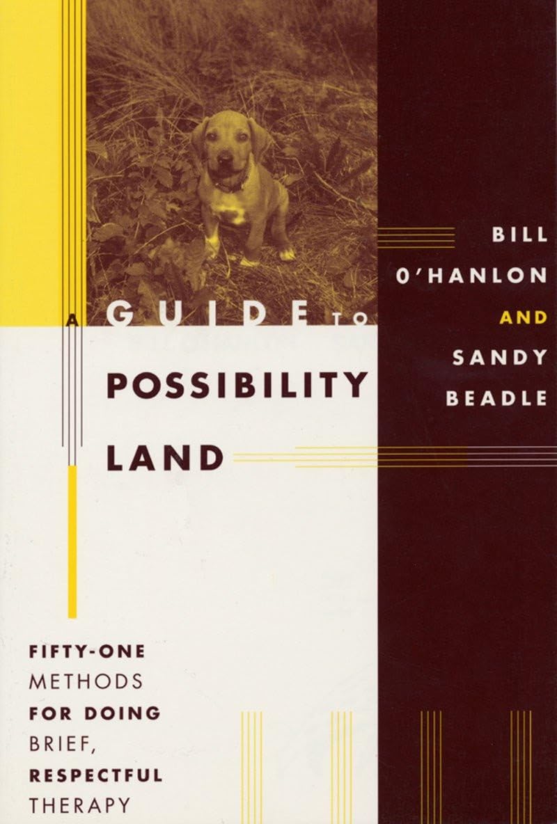 A Guide to Possibility Land: FiftyOne Methods for Doing Brief, Respectful Therapy,Used