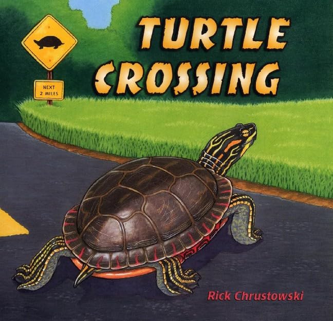 Turtle Crossing,Used
