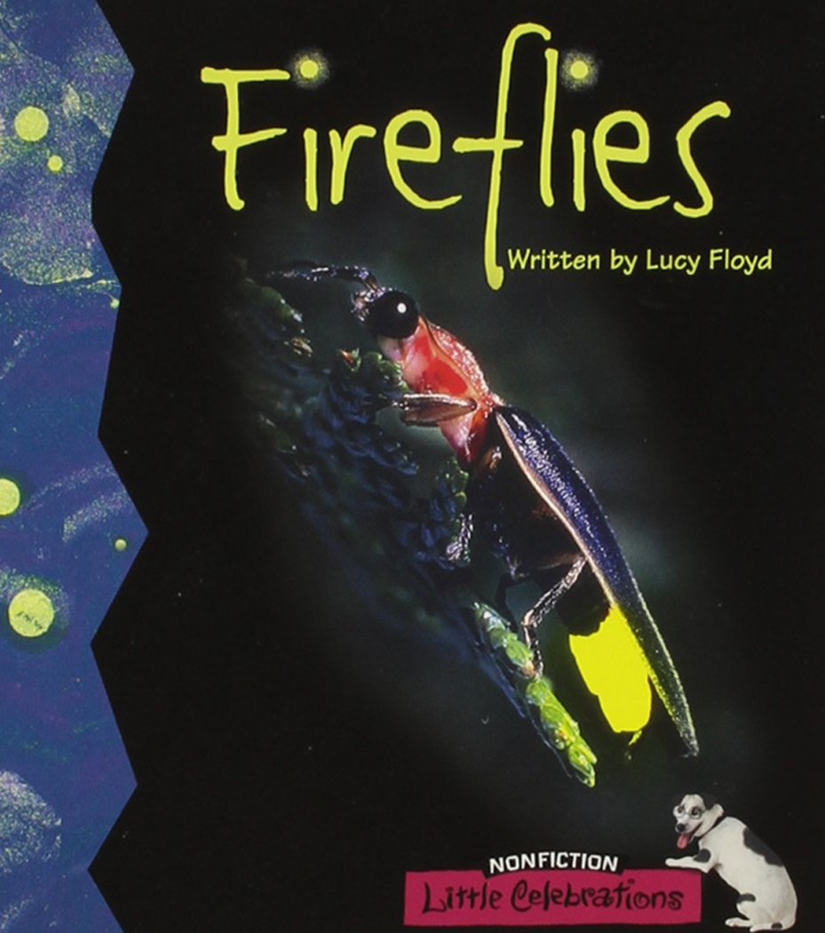 LITTLE CELEBRATIONS, NONFICTION, FIRE FLIES, SINGLE COPY, STAGE 2B,Used