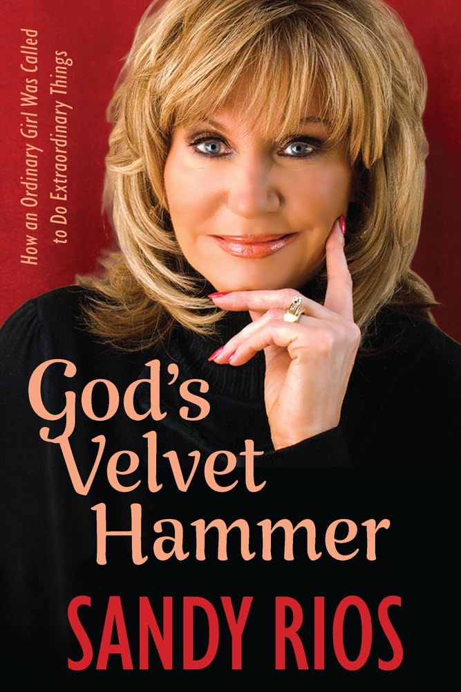God'S Velvet Hammer: How An Ordinary Girl Was Called To Do Extraordinary Things,Used