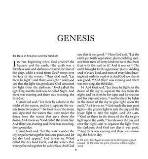 NRSV XL with Apocrypha (burgundy),Used