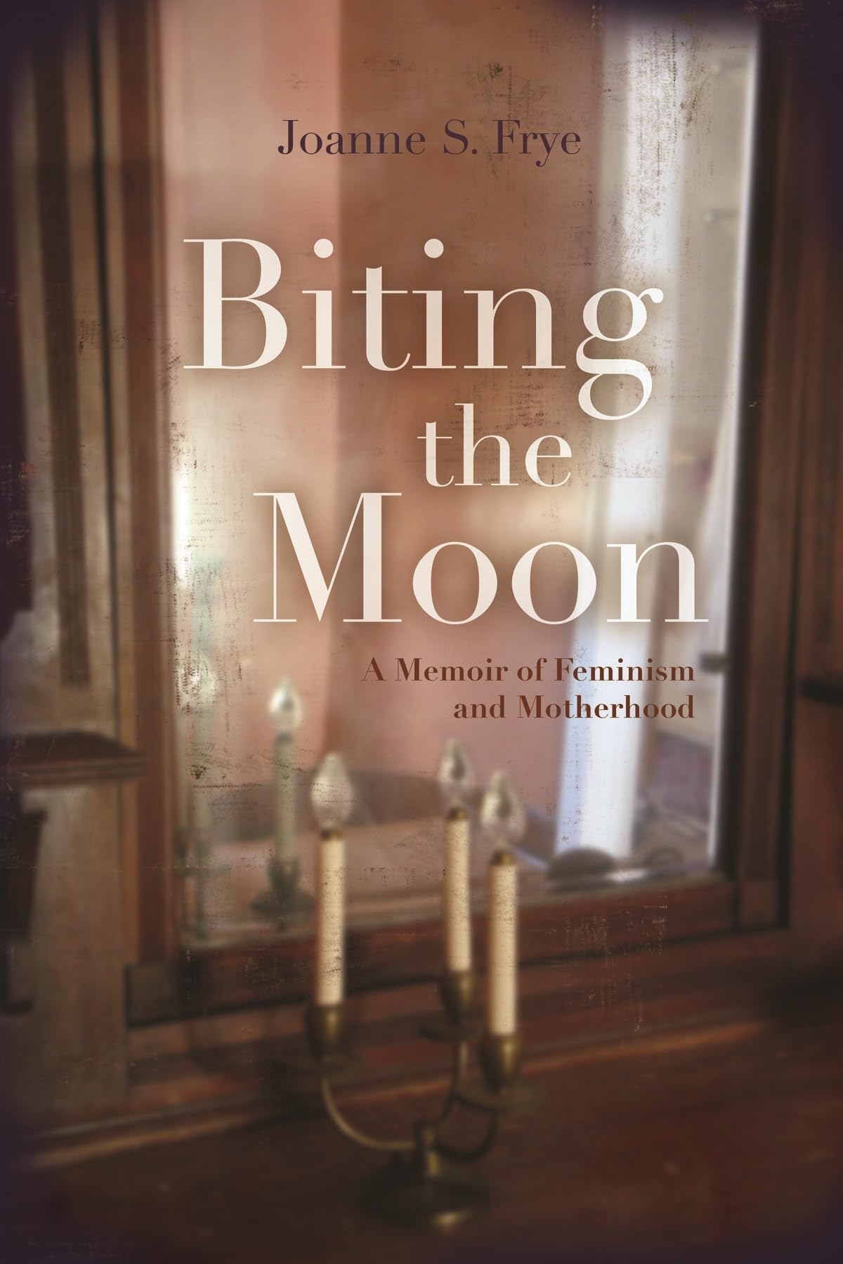 Biting The Moon: A Memoir Of Feminism And Motherhood (Writing American Women),Used