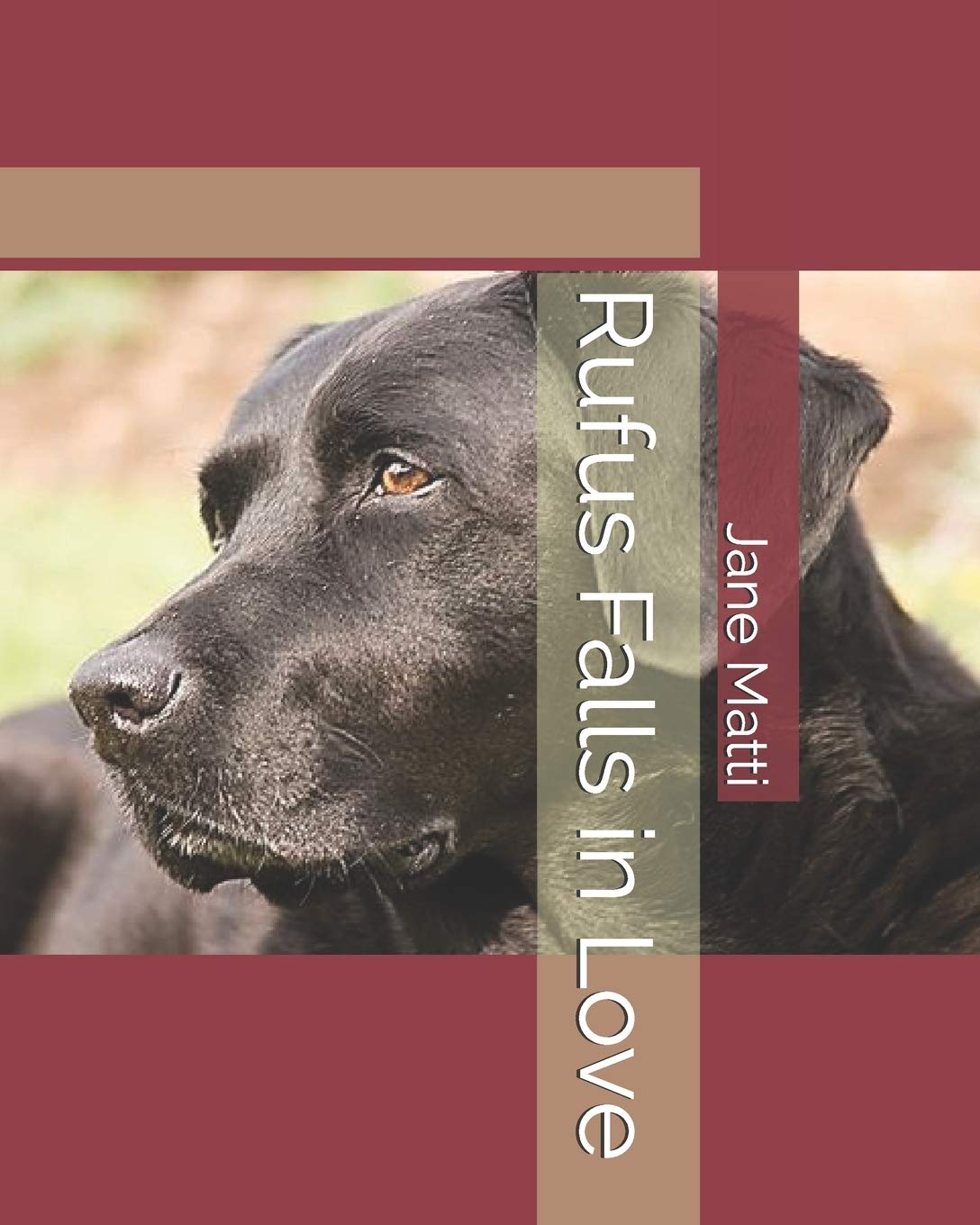 Rufus Falls in Love (Our Rescue Dogs),Used