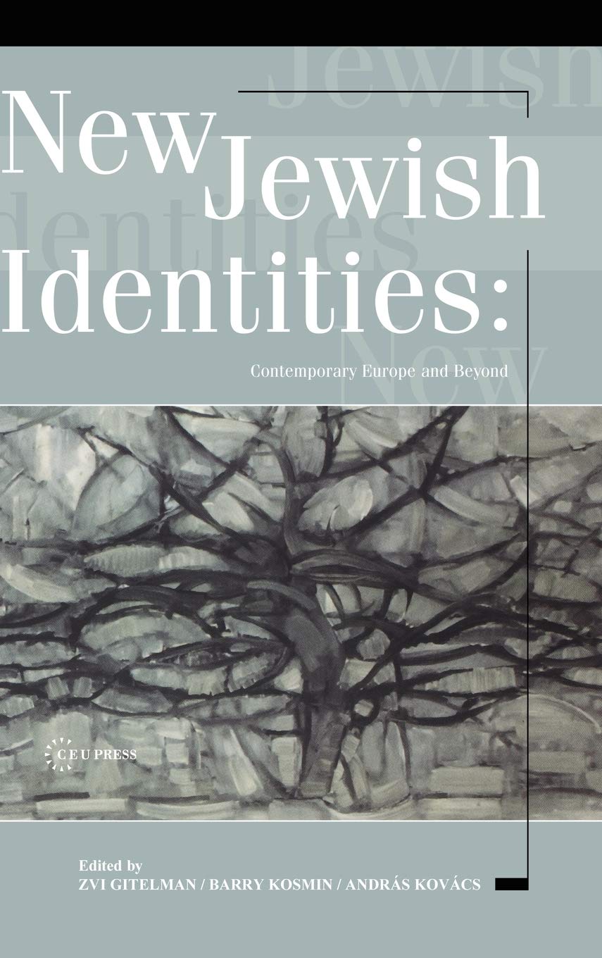 New Jewish Identities,Used
