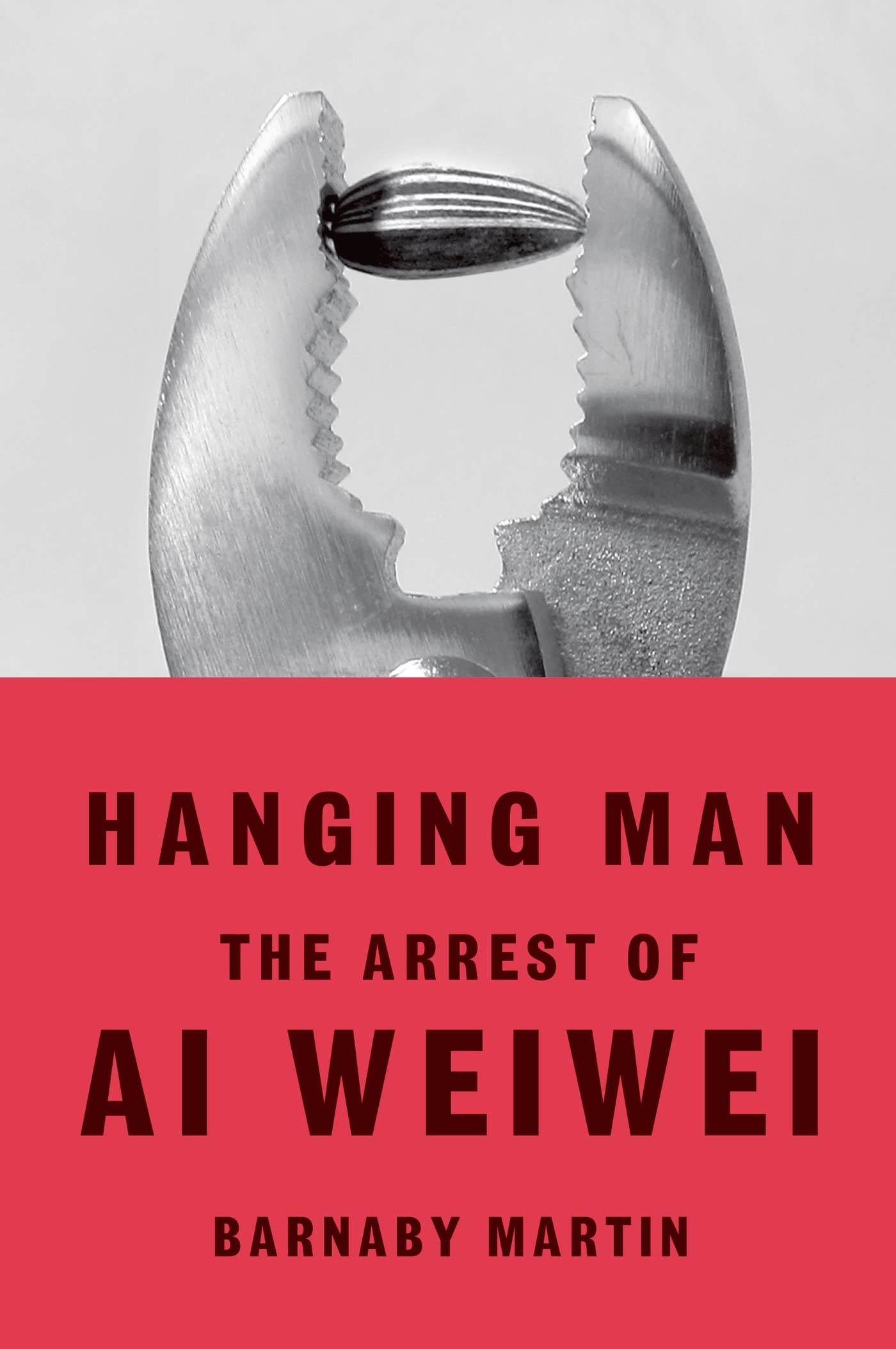 Hanging Man: The Arrest of Ai Weiwei,Used