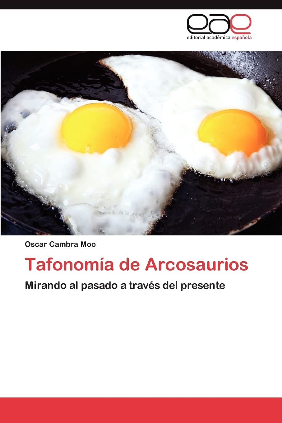Tafonoma de Arcosaurios: Mirando al pasado a travs del presente (Spanish Edition),Used