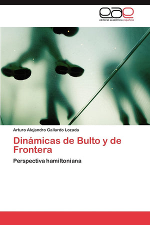 Dinmicas de Bulto y de Frontera: Perspectiva hamiltoniana (Spanish Edition),Used