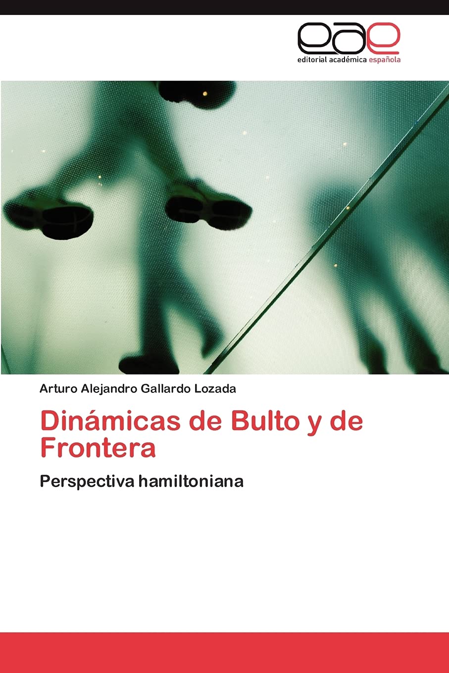 Dinmicas de Bulto y de Frontera: Perspectiva hamiltoniana (Spanish Edition),Used