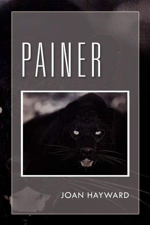 Painer,Used