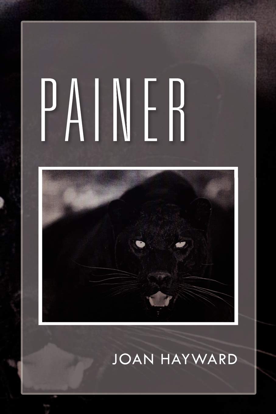 Painer,Used
