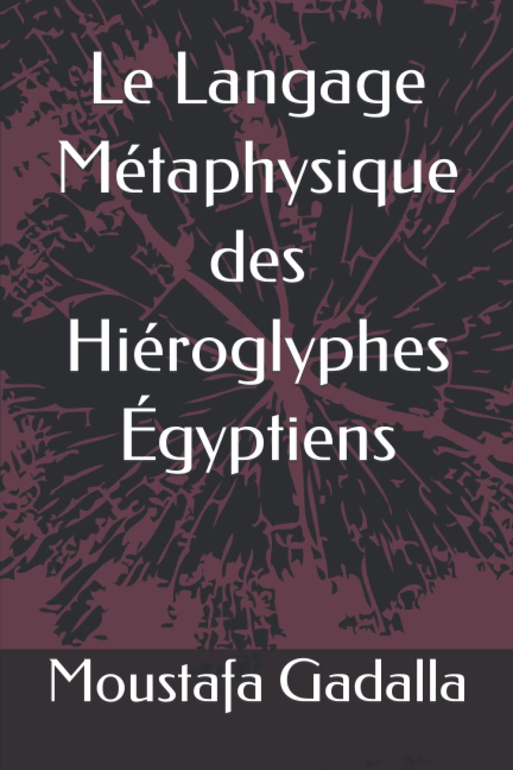 Le Langage Mtaphysique des Hiroglyphes gyptiens (French Edition),Used