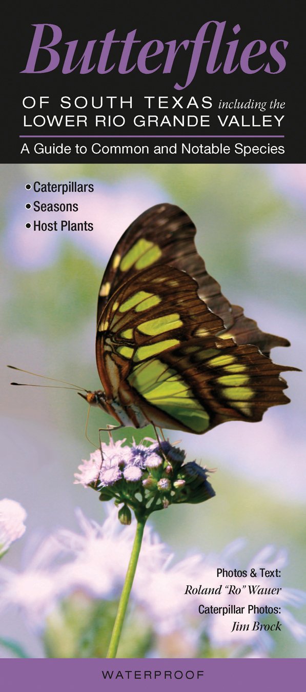 Butterflies of South Texas incl. the Lower Rio Grande Valley: A Guide to Common & Notable Species (Quick Reference Guides),Used