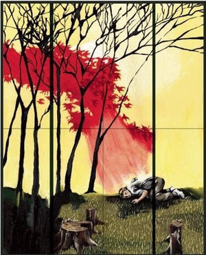 McSweeney's Issue 28,Used