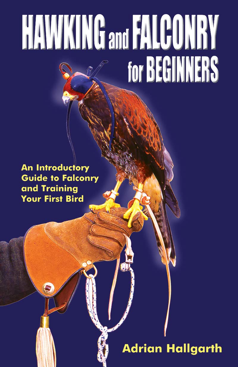 Hawking & Falconry for Beginners,Used