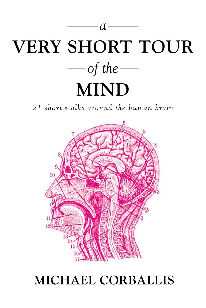 A Very Short Tour of the Mind: 21 Short Walks Around the Human Brain,Used