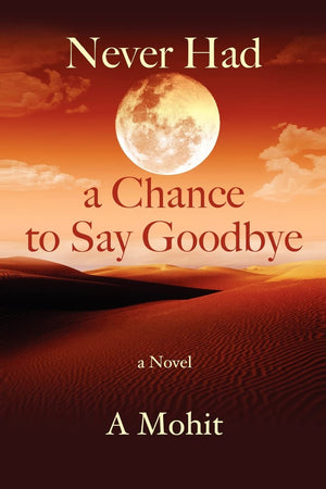 Never Had A Chance To Say Goodbye,Used