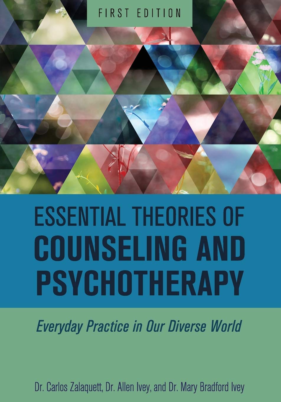 Essential Theories of Counseling and Psychotherapy: Everyday Practice in Our Diverse World,Used