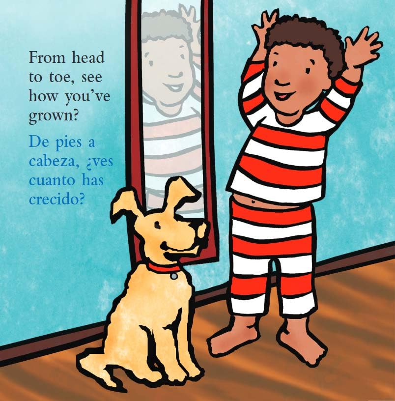 Diapers Are Not Forever / Los paales no son para siempre Board Book (Best Behavior) (Spanish and English Edition),Used