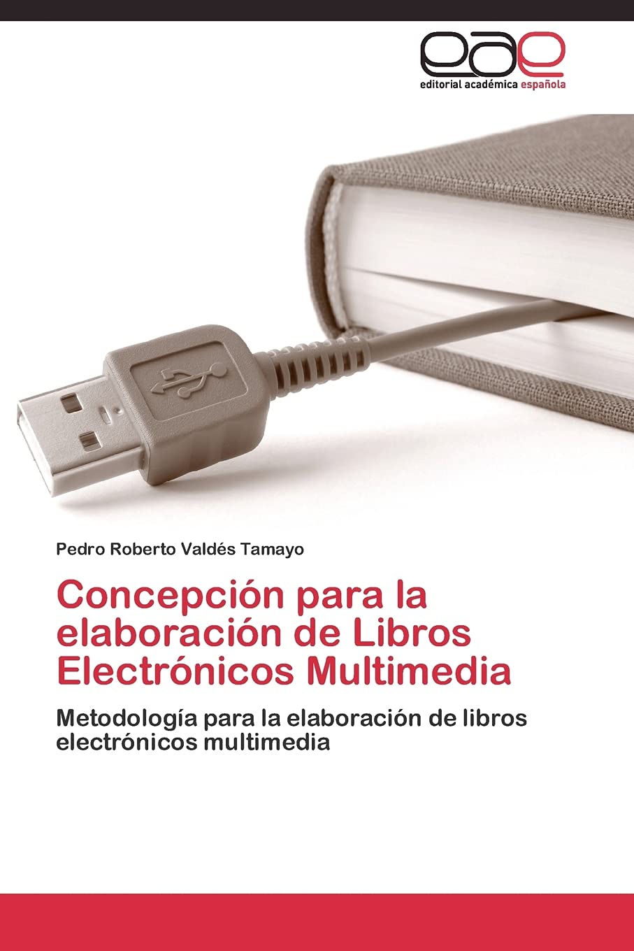 Concepcin para la elaboracin de Libros Electrnicos Multimedia: Metodologa para la elaboracin de libros electrnicos m,Used