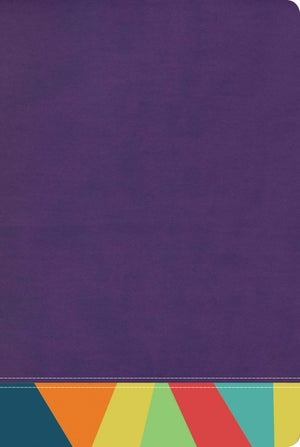 Reina Valera 1960 Biblia de Estudio Arco?ris, morado/multicolor  RVR 1960 Rainbow Study Bible Purple/multicolor LeatherTouch (Sp
