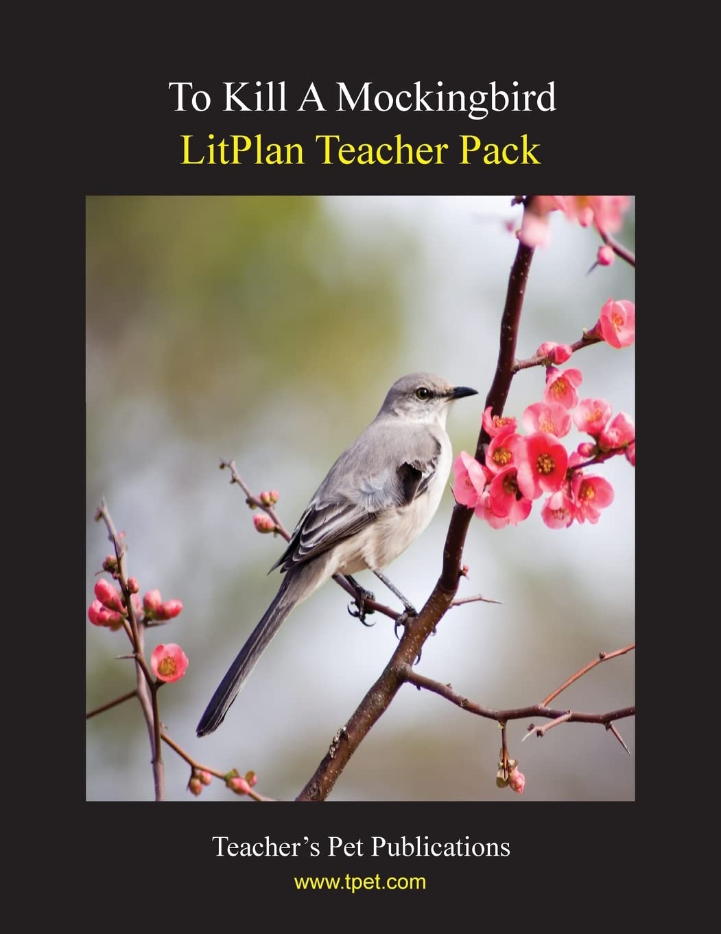 Litplan Teacher Pack: To Kill a Mockingbird,New