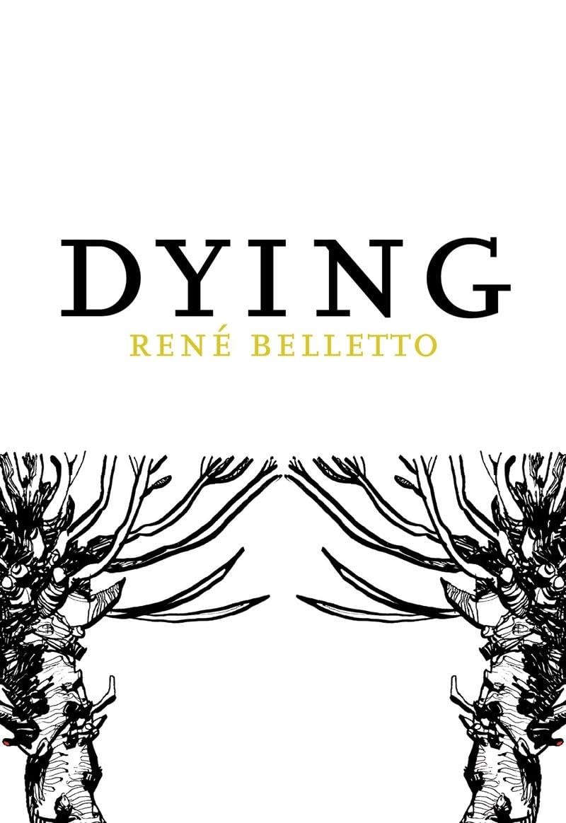 Dying (French Literature),Used