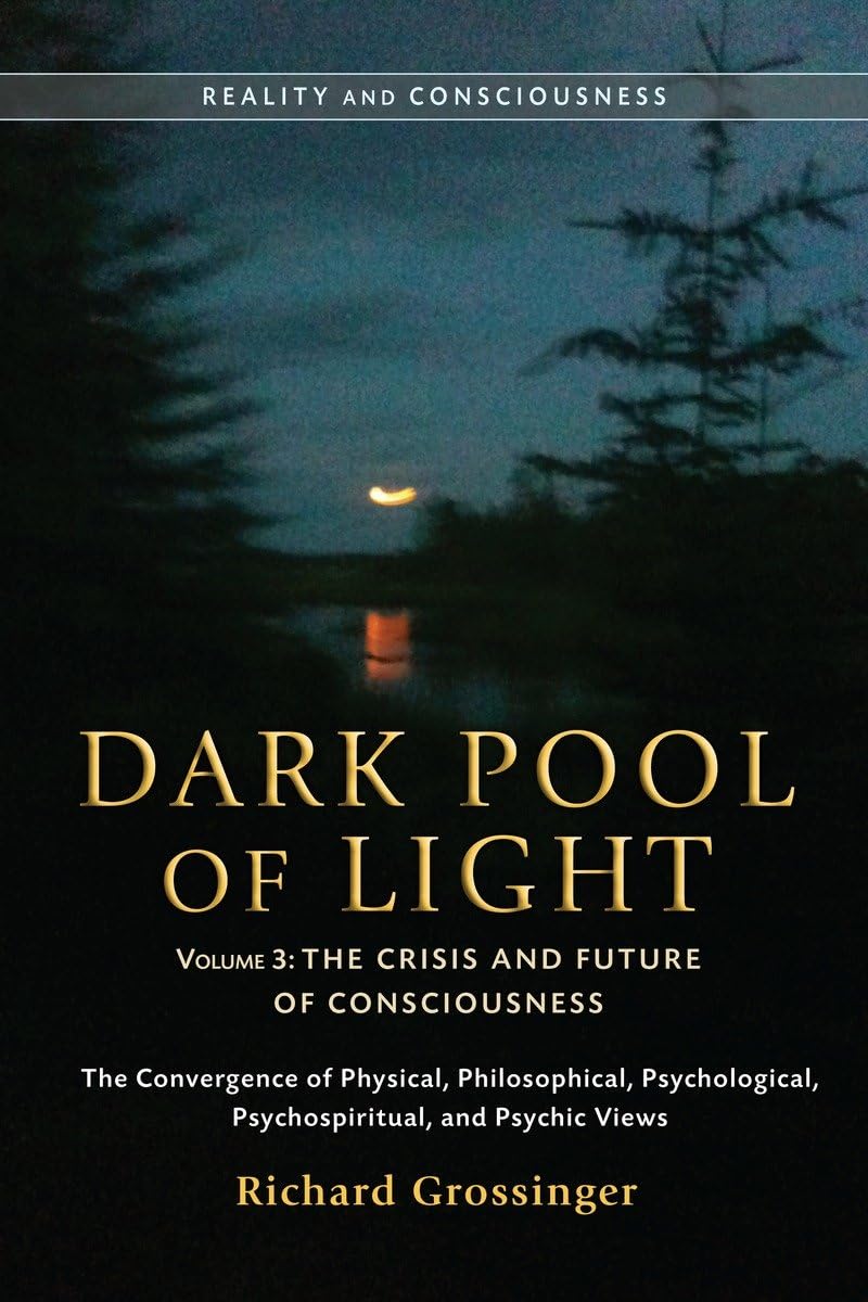 Dark Pool Of Light, Volume Three: The Crisis And Future Of Consciousness (Reality And Consciousness)