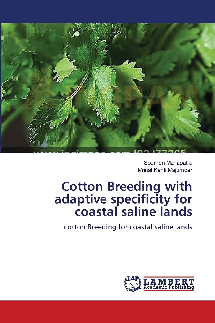 Cotton Breeding with adaptive specificity for coastal saline lands: cotton Breeding for coastal saline lands,Used