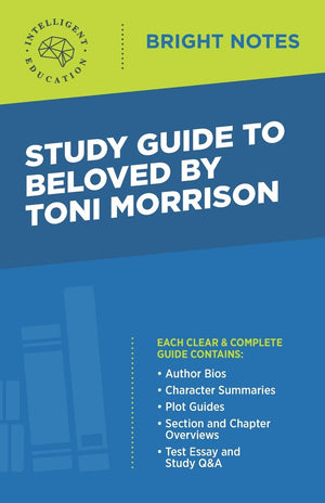 Study Guide to Beloved by Toni Morrison (Bright Notes),Used