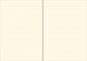 Pandas Journal (Diary, Notebook),Used