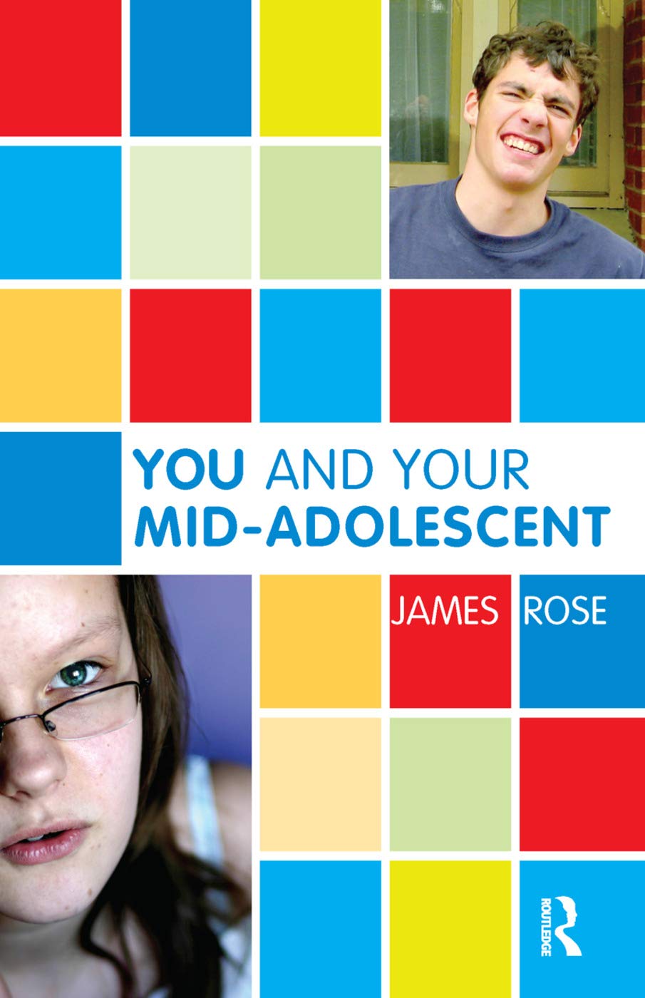 You and Your MidAdolescent: the hour of the stranger (The Karnac Developmental Psychology Series),Used