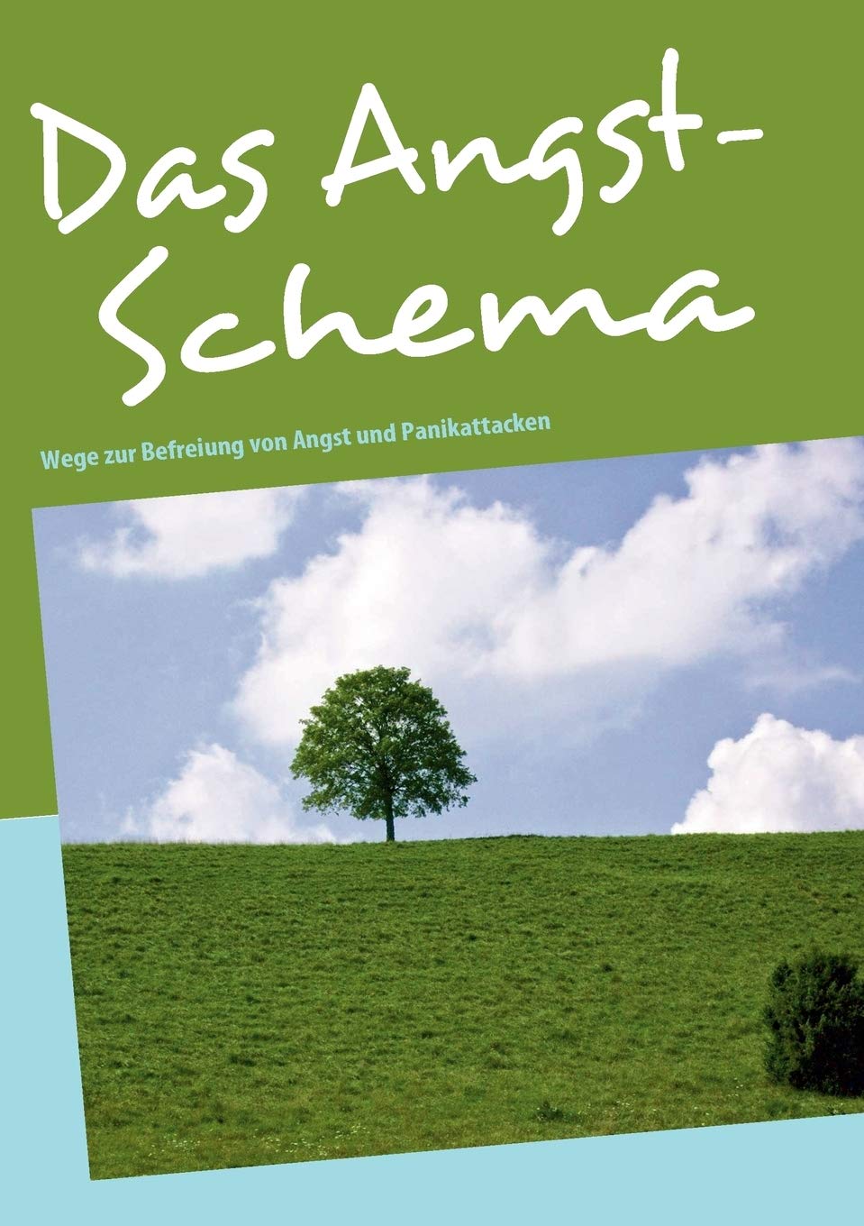 Das AngstSchema: Wege zur Befreiung von Angst und Panikattacken (German Edition),Used