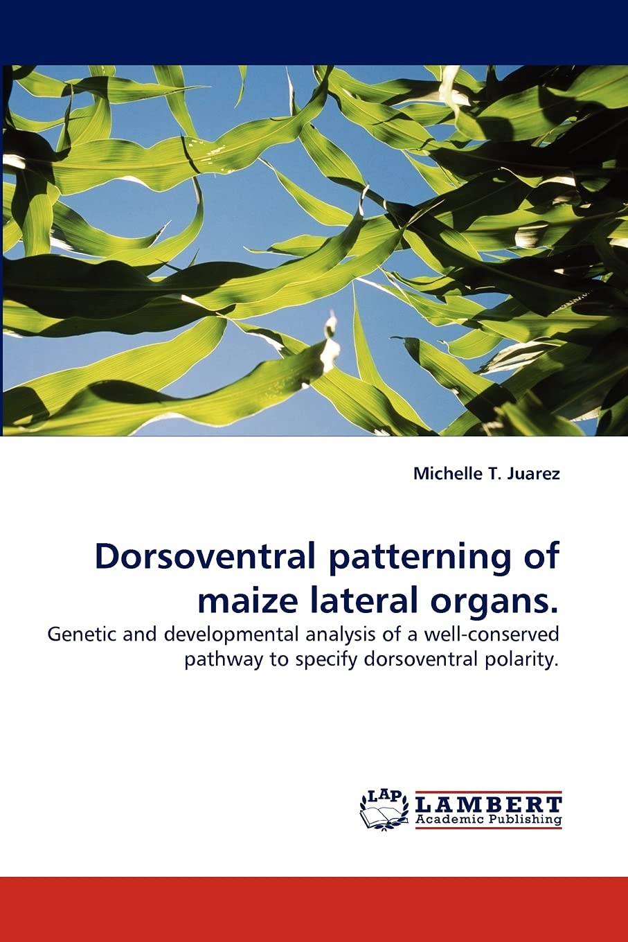 Dorsoventral patterning of maize lateral organs.: Genetic and developmental analysis of a wellconserved pathway to specify dors,Used