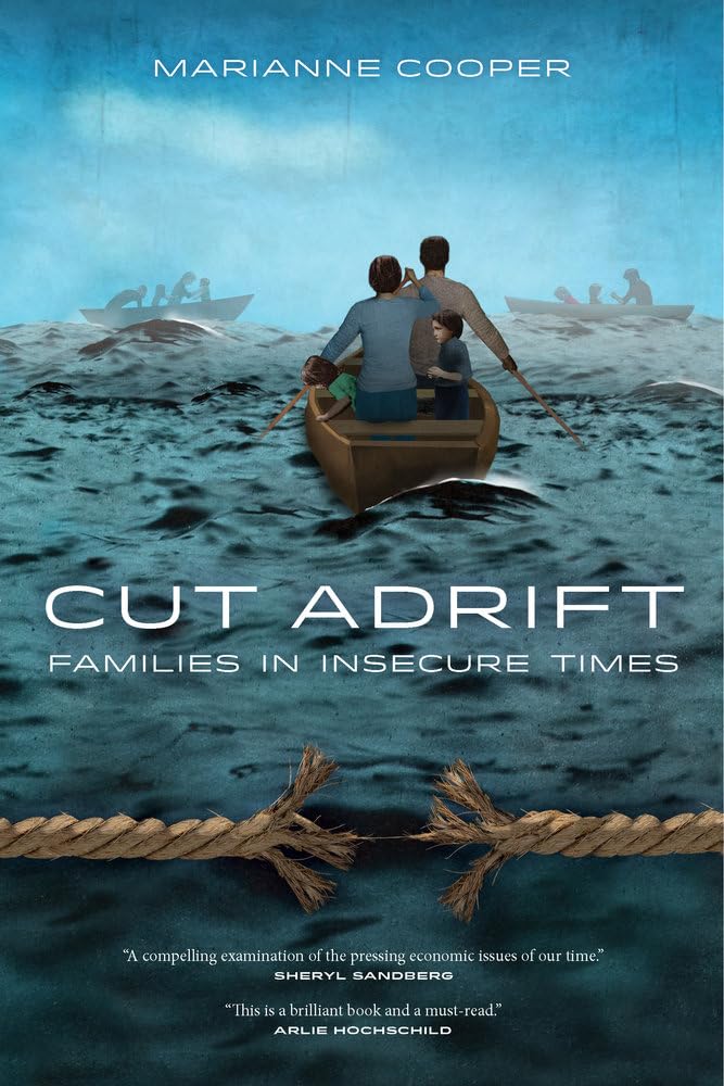 Cut Adrift: Families In Insecure Times-used