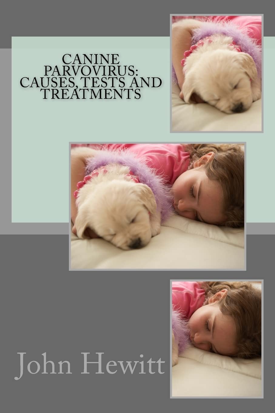 Canine Parvovirus: Causes, Tests And Treatments,Used