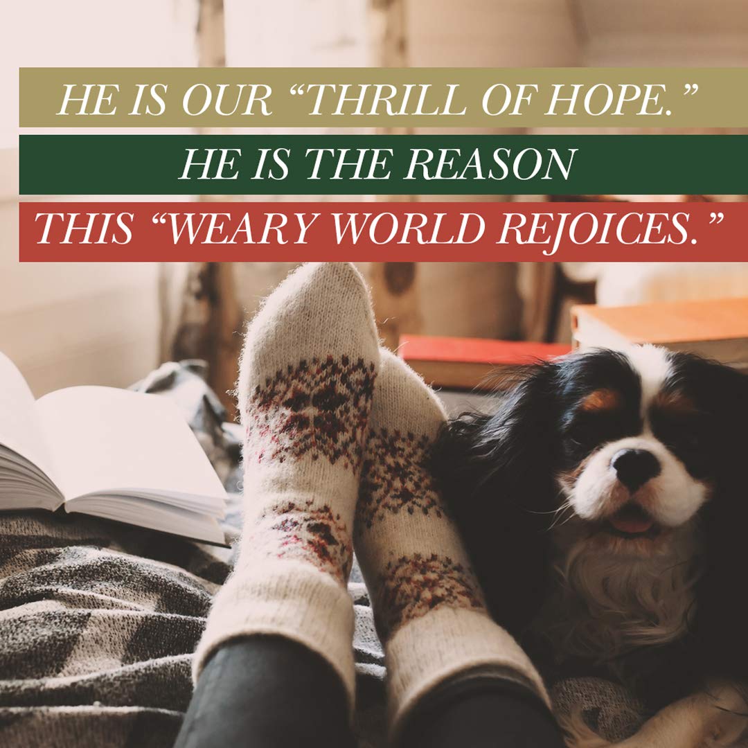 Advent  Bible Study Book: The Weary World Rejoices,New