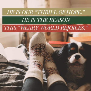 Advent  Bible Study Book: The Weary World Rejoices,New