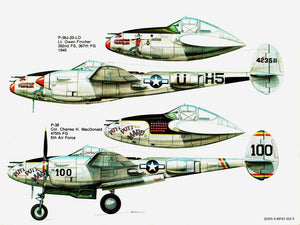 P38 Lightning in Action  Aircraft No. 25,Used